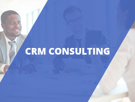 CRM Consulting 