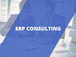 ERP Consulting
